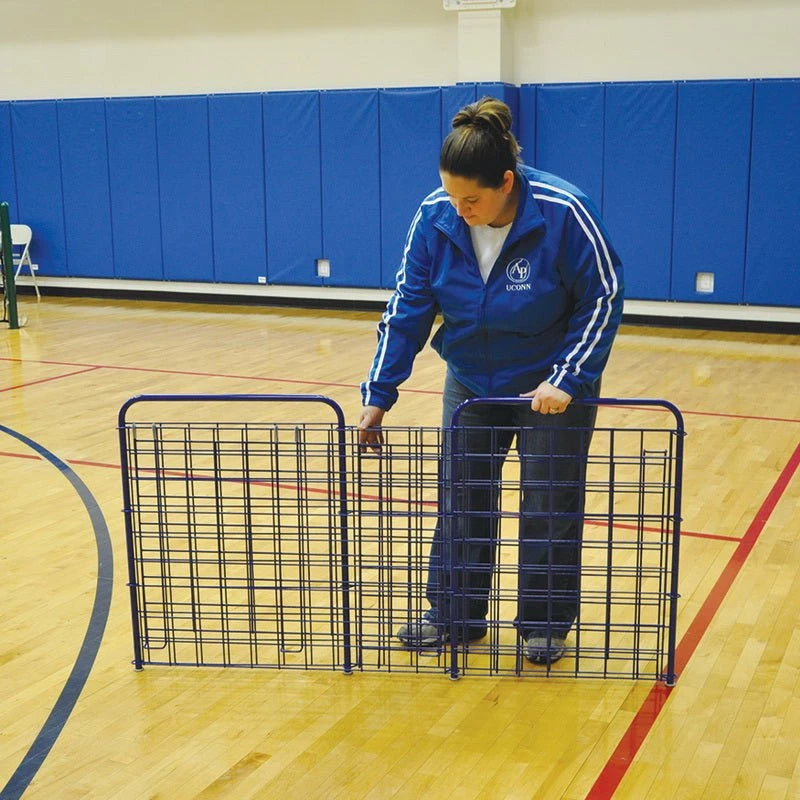 Jaypro ToteMaster Ball Cart – 25-Ball Capacity – Royal Blue (TE-2) - JoySportStore