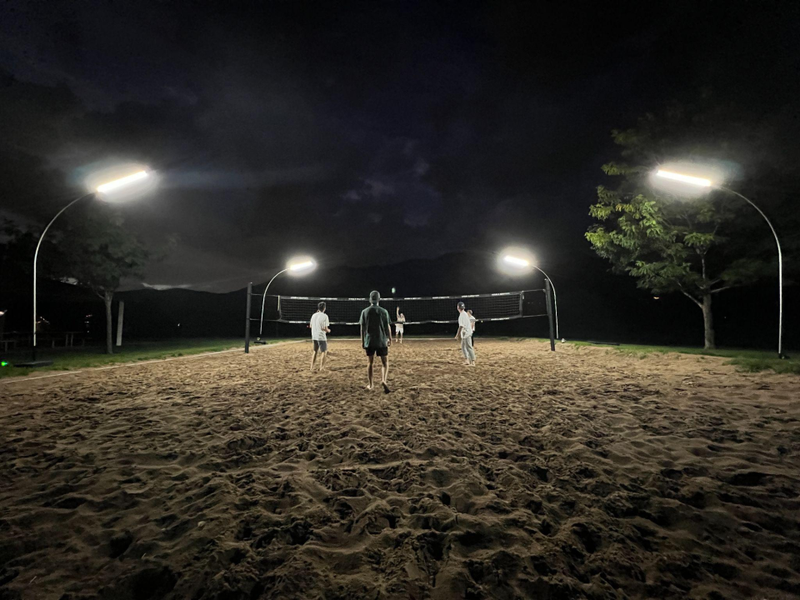 ALTA Light Dominator