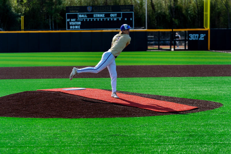 Portolite BASEBALL BRONZE - FIELD DEFENSE SYSTEM Portolite