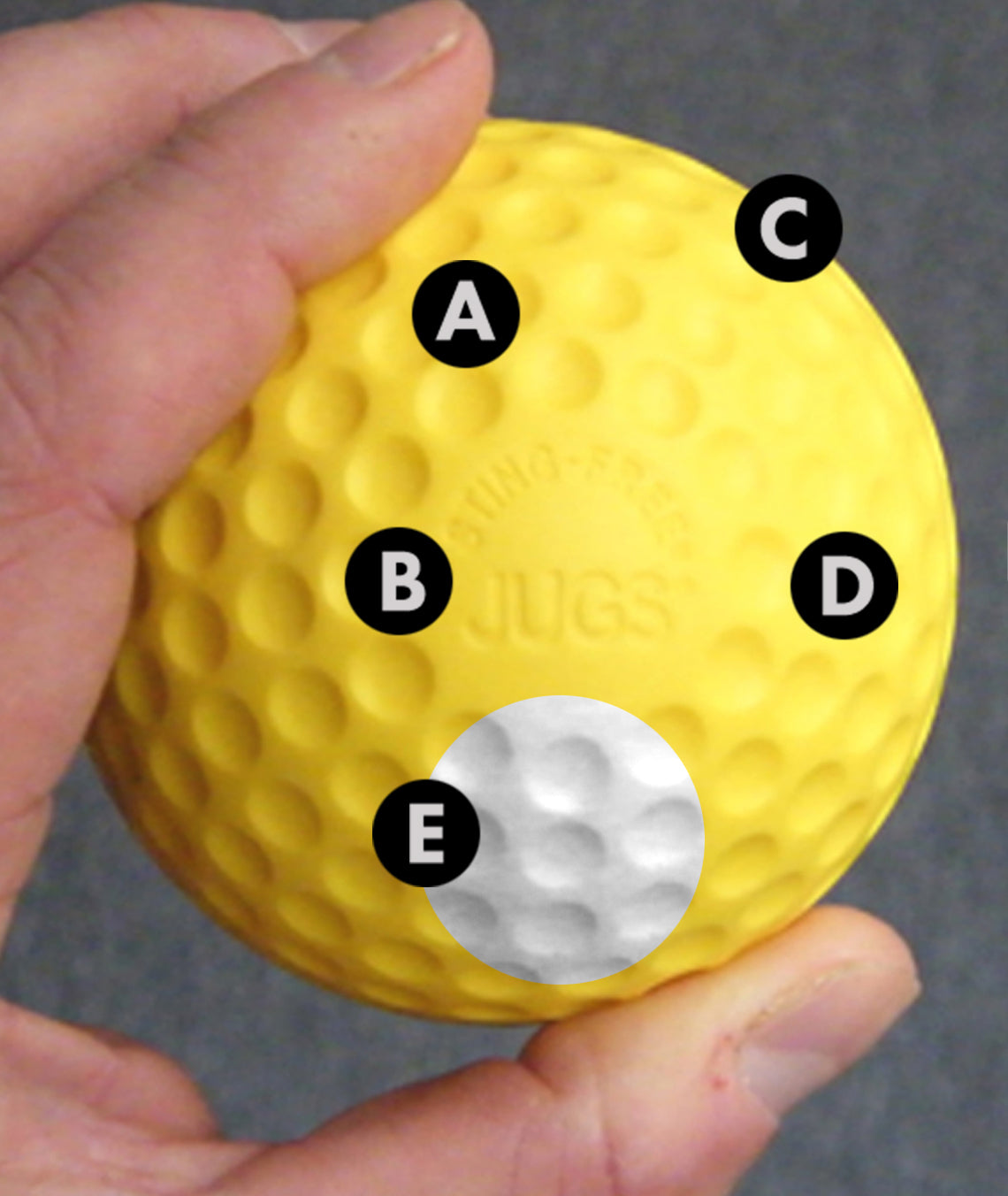 JUGS Sting-Free Dimpled Baseballs JUGS Sports